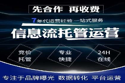 SEM运营推广策略：成功案例解析